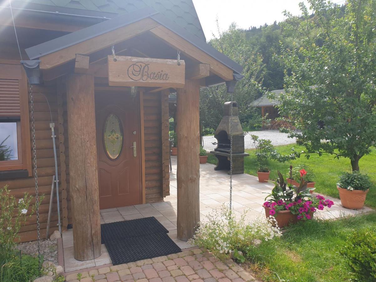 Sobieszow Apartament Basia Zielone Wzgorze -Willa Tosia Exteriér fotografie